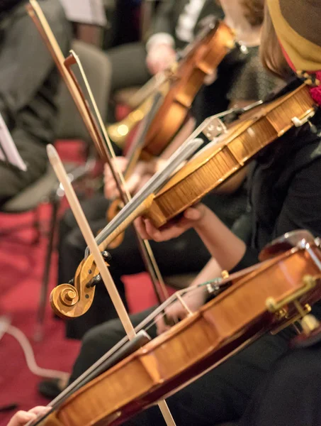 Três Violinos Madeira Tocando Orquestra Close Música Clássica — Fotografia de Stock