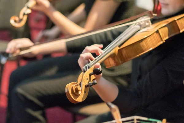 Mano Las Cuerdas Violín —  Fotos de Stock