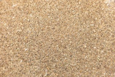 Organik Kuru kişniş tohumu (Coriandrum sativum) closeup arka plan dokusu