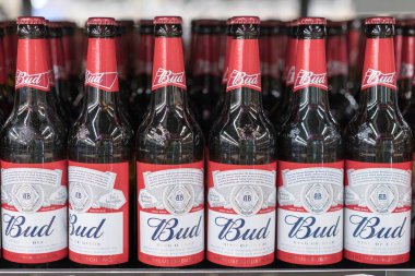 Kiev, Ukrayna. 18 Şubat 2018. Bira 