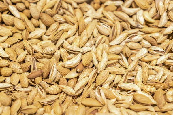 Background of shelled spanish almonds, seen from directly above and in full frame. Macro shot. unpeeled almonds.