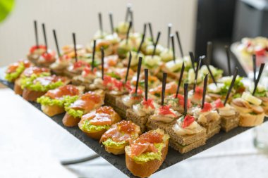 Crostini ahşap arka plan üzerinde farklı Topingler ile. Lezzetli meze. Önden görünüm. Gurme meze: havyar, geyik eti, ton balığı ve somon.