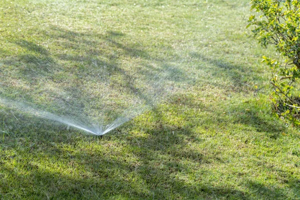 Sprinkler Watering Lawn Sunny Autumn Day Watering Lawn — Stock Photo, Image