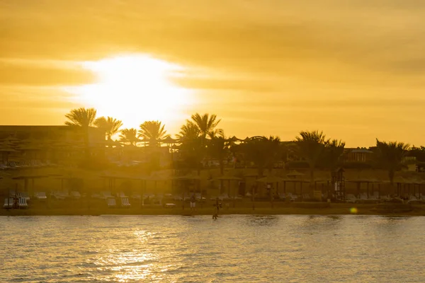 Sonnenuntergang Einem Tropischen Resort Kreativer Sonnenuntergang Strand Hintergrund Mit Palmen — Stockfoto