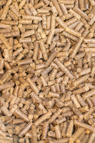 Pellets Biomass Close Studio Shot Macro Tiro Energia Eficiente Aglomerados — Fotografia de Stock