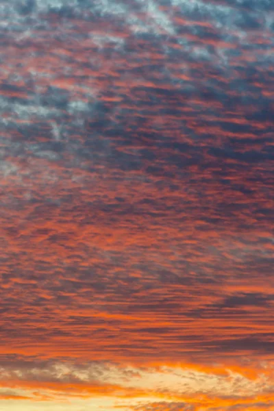 Pôr Sol Com Céu Laranja Quente Brilhante Vibrante Laranja Amarelo — Fotografia de Stock