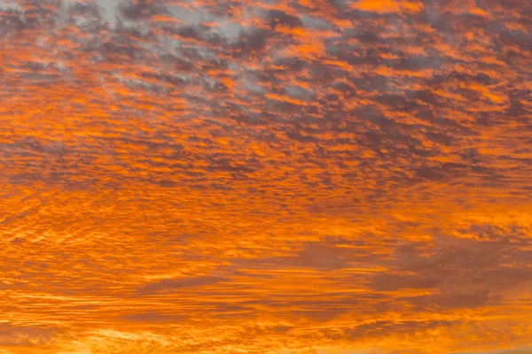 sunset with orange sky. Hot bright vibrant orange and yellow colors sunset sky. sunset with clouds
