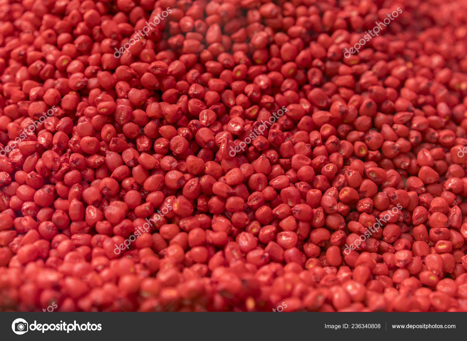Red Chemically Treated Corn Seed Treated Colorful Corn Seeds Ready Stock Photo By C Colt Kiev Mail Ru Red Chemically Treated Corn Seed Treated Colorful Corn Seeds Ready Stock Photo By C Colt Kiev Mail Ru