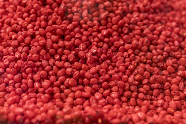 Red Chemically treated corn seed. Treated colorful corn seeds ready for planting. Science applied in agricultural industry for early crop protection, top view