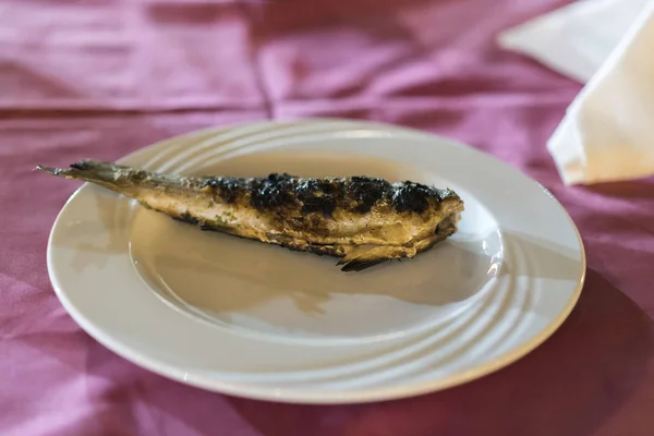 Pesce Mare Alla Griglia Piatto Bianco Solo — Foto Stock