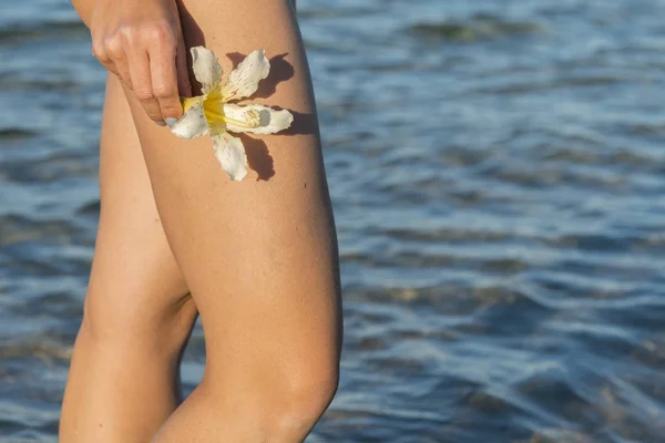 Witte Bloemen Frangipani Vrouwelijke Hand Tegen Zee Strand — Stockfoto