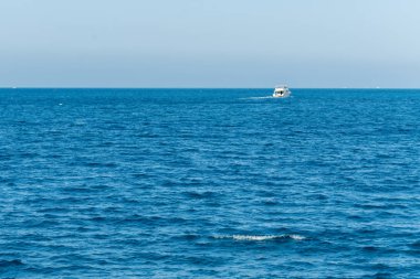 Okyanusta yelken turistik gemi. Sevkiyat iş turizm kavramı. Arka plan. Dawn ve ufukta beyaz bir gemi gökyüzü mavi deniz, pembe. Dinlenme, tatil, hafta sonu ve cruise kavramı