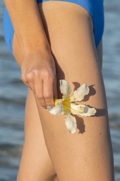 Vita Blommor Frangipani Kvinnors Händer Mot Havet Stranden Och Blå — Stockfoto