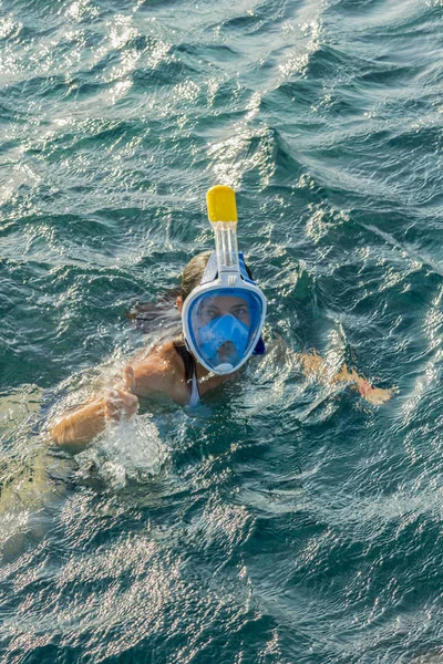 Mujer Joven Haciendo Snorkel Transparente Poco Profundo Mujer Joven Snorkel — Foto de Stock