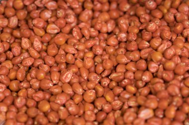 Ham mısır tohumları veya mısır çekirdekleri Mısır meyve vardır. Mısır bir tahıl ve çekirdekler bir sebze veya nişasta kaynağı pişirme kullanılır.