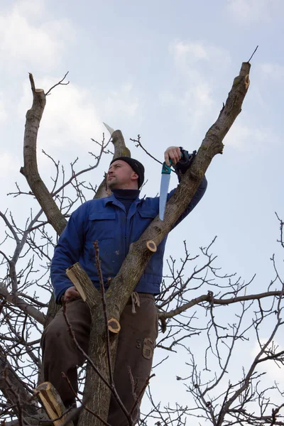Jardinero con una sierra sentado en un árbol — Foto de Stock