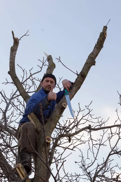 Jardinero en un vestido azul con una sierra en la mano se sienta en un árbol alto — Foto de Stock