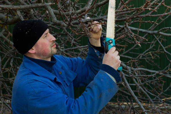 Un jardinero se prepara para cortar una rama de árbol — Foto de Stock