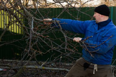 Bir adam bir ağacın dalından çeker