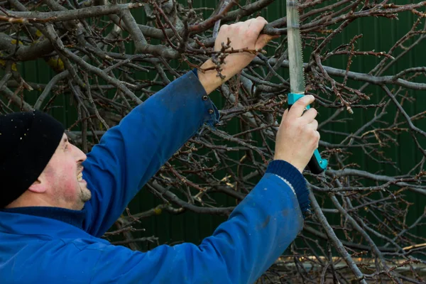 La sierra del jardinero recorta la rama del árbol — Foto de Stock