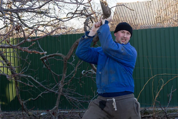 Jardinero levanta una gran rama de un árbol — Foto de Stock