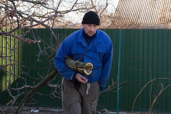 Молодой садовник в рабочей одежде тянет ветку грецкого ореха — стоковое фото