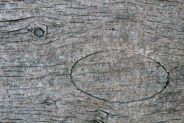 Macro de textura de madeira cinza com padrões naturais — Fotografia de Stock
