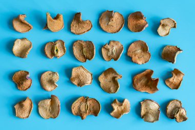 mavi arka plan üzerinde kurutulmuş elma dilimleri. Sığ derinlik-in tarla. Ev yapımı kurutulmuş organik elma dilim