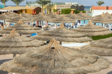Şemsiye ve şezlong sahilde. Özel kumsal denizden şezlonglarla doğal görünümünü.
