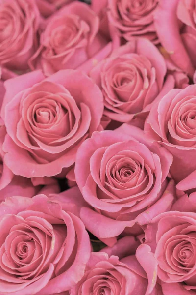 Background of pink and peach roses. Fresh pink roses. A huge bouquet of flowers. The best gift for women. vertical photo.