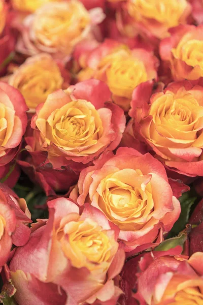 Background of pink and peach roses. Fresh pink roses. A huge bouquet of flowers. The best gift for women. vertical photo.