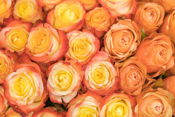 Ogromny bukiet pomarańczowych róż. pomarańczowe róże tło. pomarańczowe róże poziome bez szwu wzór. Aranżacja róż pomarańczowych — Zdjęcie stockowe