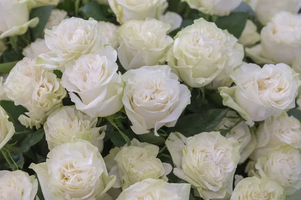 Aislado primer plano de un enorme ramo de rosas blancas. Rosas blancas Arreglo de flores — Foto de Stock