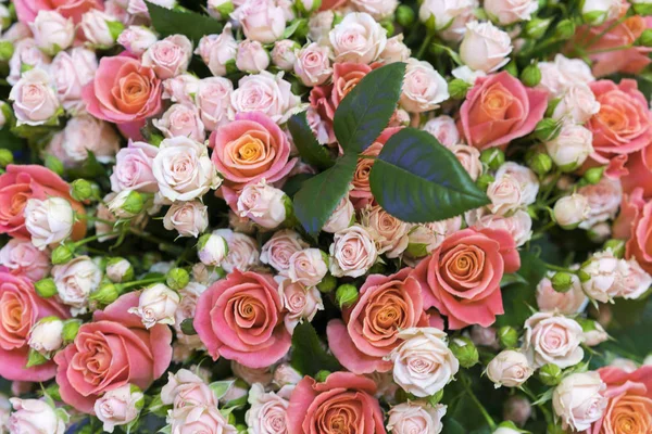 Beautiful fresh red and pink roses. beautiful bouquet of roses