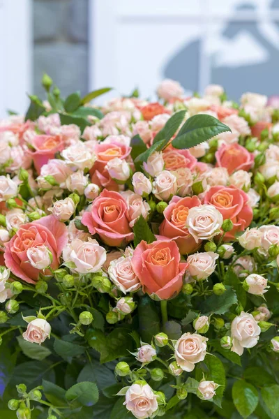 Beautiful fresh red and pink roses. beautiful bouquet of roses. vertical photo. close up