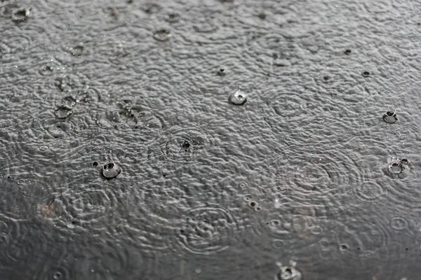 Rain gray background. Drops on a puddle — Stock Photo, Image