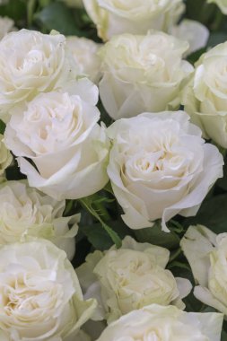 Beyaz güller büyük bir buket izole yakın çekim. Beyaz güller çiçek aranjmanı. dikey fotoğraf