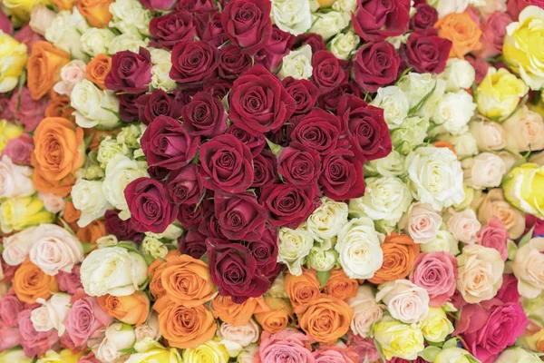 Bright multicolored bouquet of roses. Multicolored fresh roses background. Plenty of colorful bright roses close up