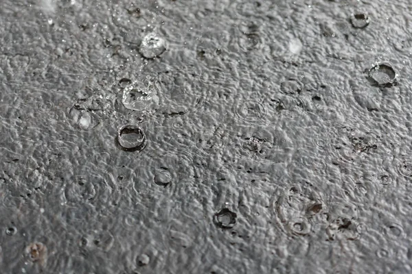 Regn grå bakgrund. Droppar på en pöl — Stockfoto