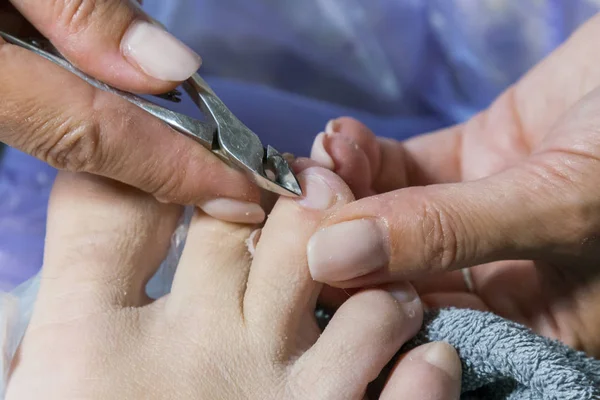 El proceso de la pedicura en el salón de belleza. Trabajo de manicura en los pies de una mujer cliente, hacer que sus uñas se ven hermosas. Procedimiento de pedicura de salón en proceso. Trabajos profesionales en guantes para la esterilidad —  Fotos de Stock