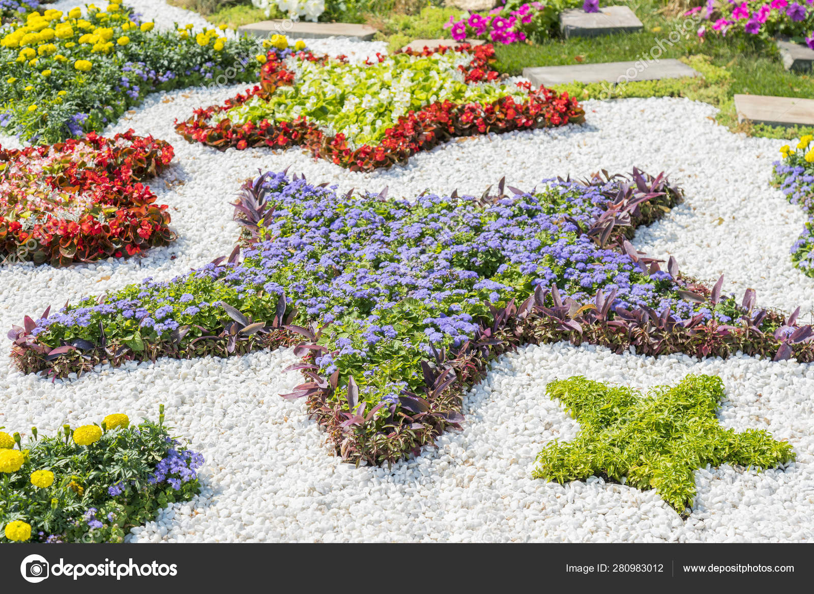 すべての美しい花の画像 トップ100 花花壇 すべての美しい花の画像 トップ100 花花壇
