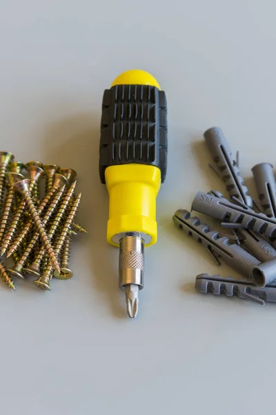 Screwdriver and bolts isolated on gray background. Repair and maintenance concept. vertical photo — Stock Photo, Image