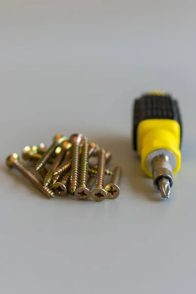 Screwdriver and bolts isolated on gray background. Repair and maintenance concept. vertical photo — Stock Photo, Image