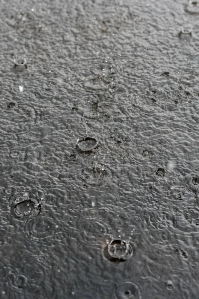 Rain gray background. Drops on a puddle. Vertical photo — Stock Photo, Image