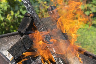 Yakın çekim yanma. Bulanık arka plan. Izgara barbekü pişirme için kömür pişirme. Yanan meşenin güzel şenlik ateşi. Yakacak odunlar turuncu ateşi yakar. Sıcak kömürler üzerinde kırmızı alev