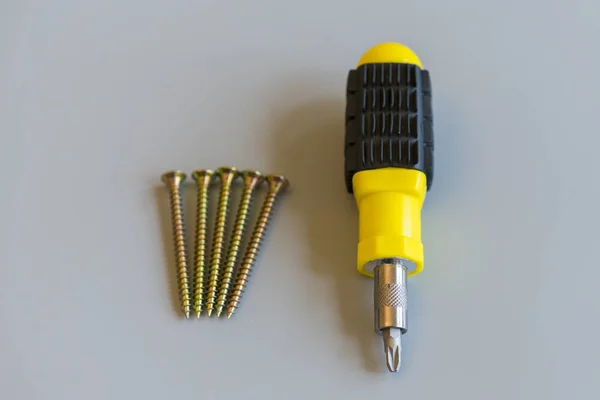 Screwdriver and bolts isolated on gray background. Repair and maintenance concept. copy space — Stock Photo, Image