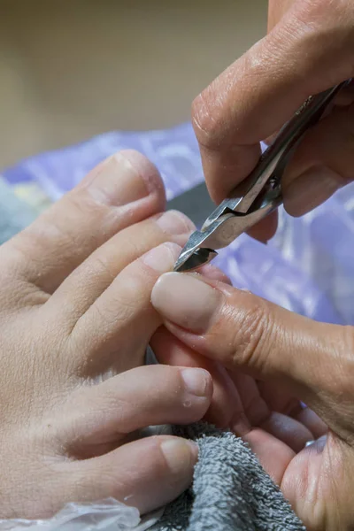 Güzellik salonunda pedikür süreci. Kadın müşteri ayakları üzerinde çalışan manikürcü.