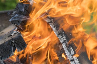 Yakma sahnesini yakından çek. Arka plan bulanık. Izgarada barbekü pişirmek için kömür.