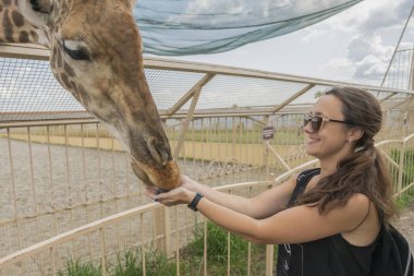 Mutlu genç kadın izliyor ve hayvanat bahçesinde zürafa besleme. 