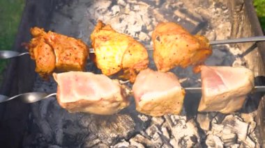Izgara Shashlik 'in açık hava manzarası